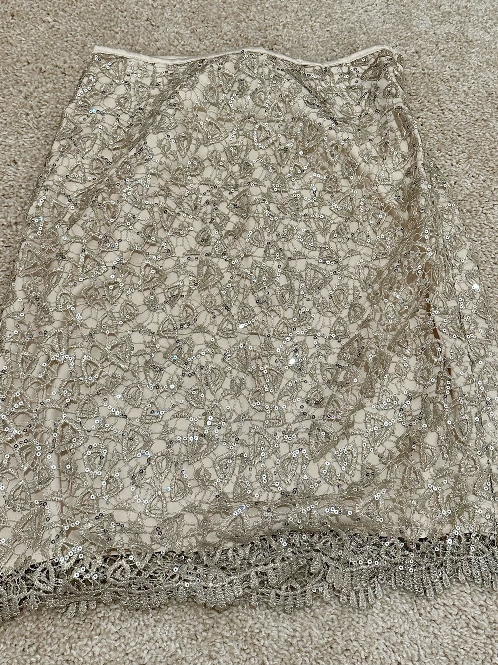 Beige Sequin Lace Overlay Skirt